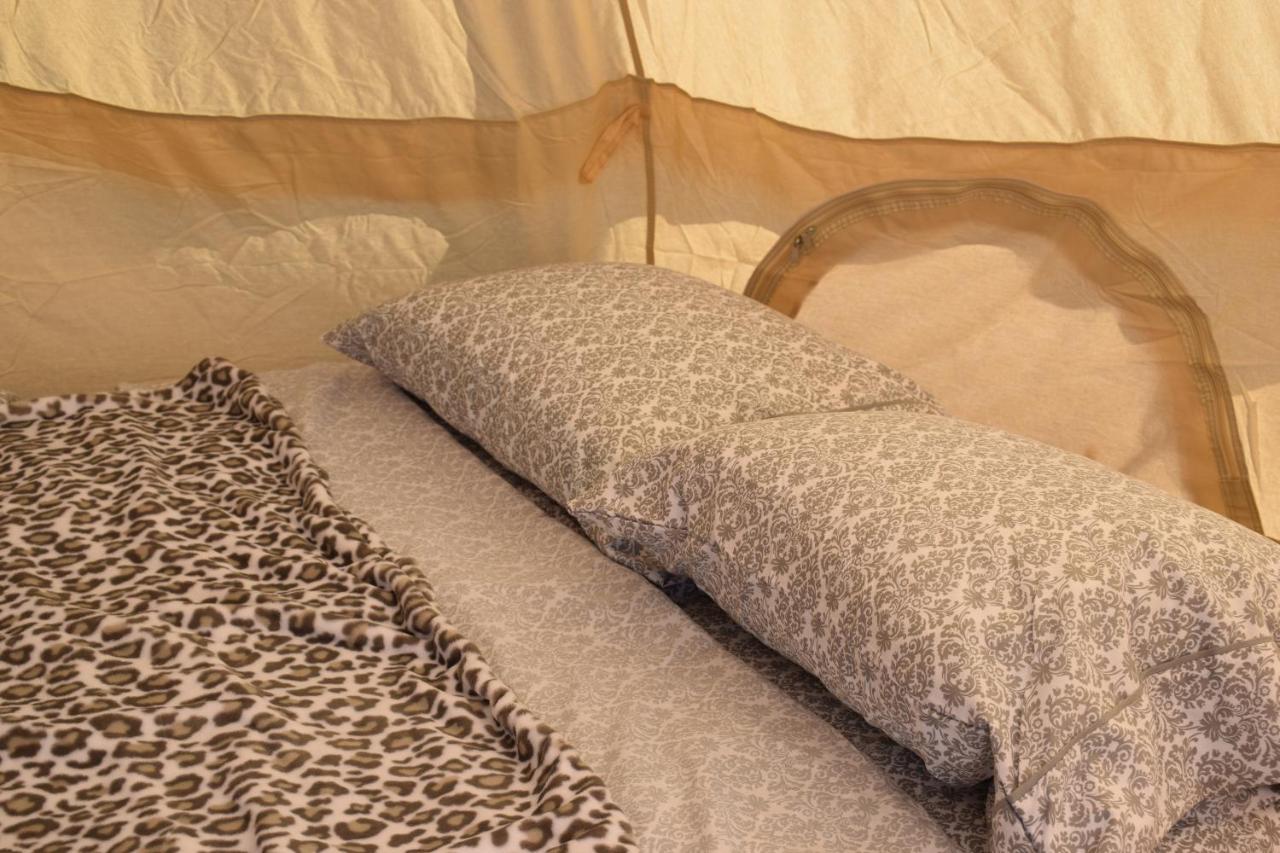 Starlight Tent 3 Holbrook Luaran gambar